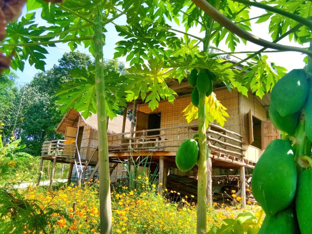 Baan Aingdoi Homestay, Chiang Dao Exterior foto