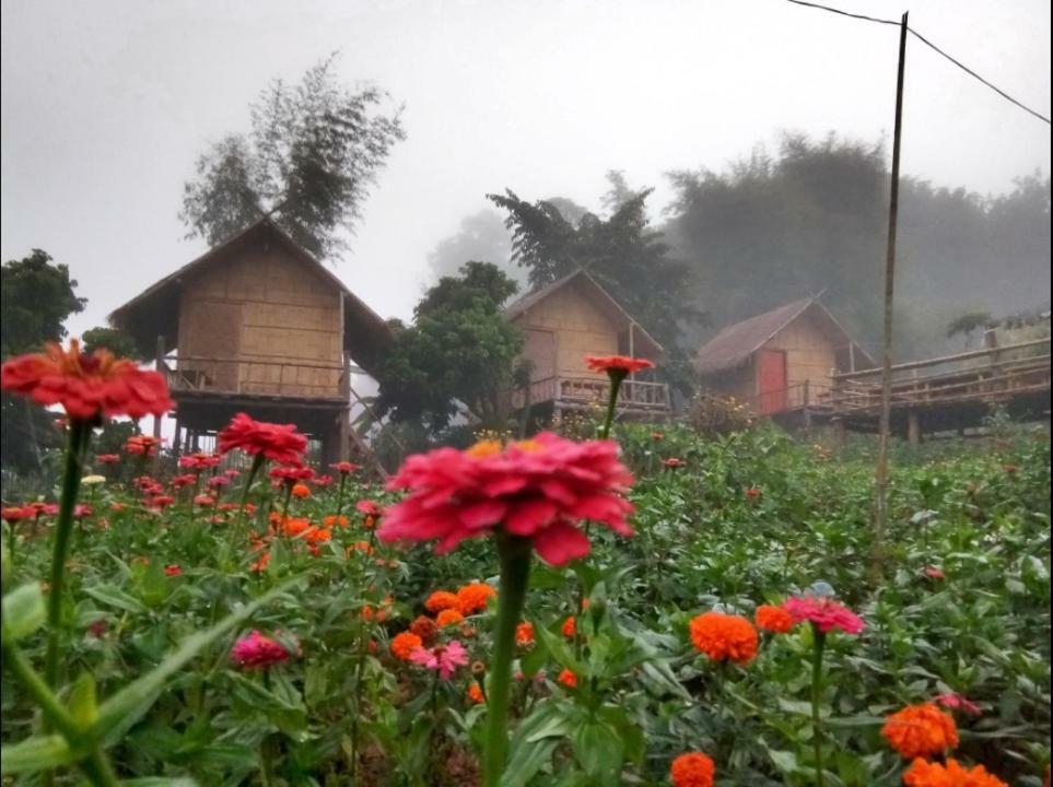 Baan Aingdoi Homestay, Chiang Dao Exterior foto